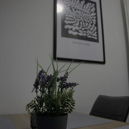 Swan Apartments Νυρεμβέργη Εξωτερικό φωτογραφία